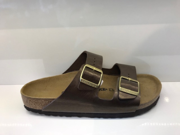 Arizona BS 1009919