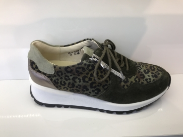 H-Carolin 792008 400 066