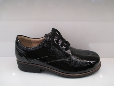 Elmhurst 2233 022099