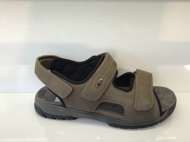 Harald 372001 191 055