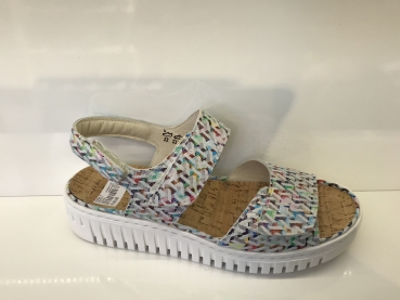 H-Willow 955001 152 299