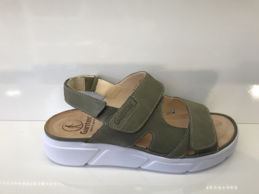 Halina 200458 5400
