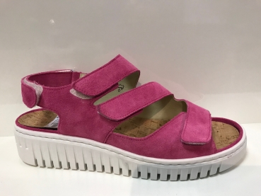 H-Willow 955003 195 233