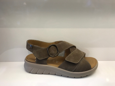 Calypso 132.1802/30 41.00