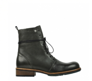 Murray Forest 4432 273