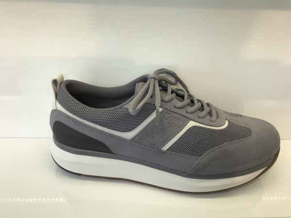 David II Grey 226cas