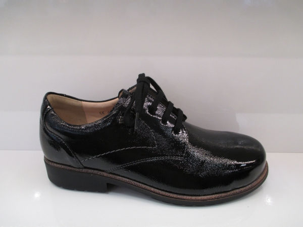 Elmhurst 2233 022099