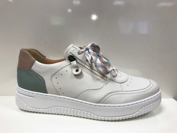 Boogie 162.1952/11 02.97